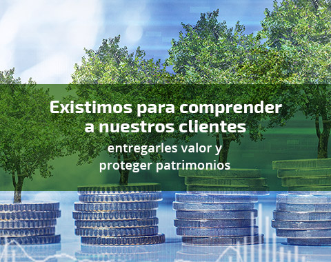 Existimos para comprender a nuestros clientes ,entregarles valor y proteger patrimonios